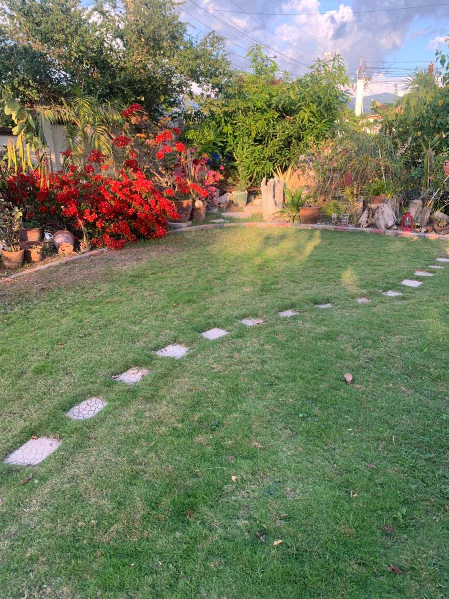 Hidden Gem Apartment Kingston Luaran gambar